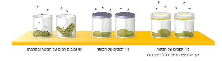 (בספר תרשים)